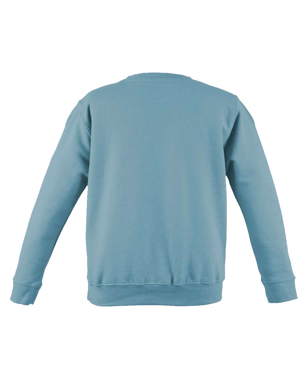Unisex College Crewneck Sweatshirt - Back - B10101253 - Sky Blue
