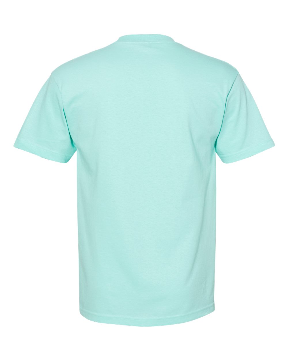 Unisex Heavyweight Cotton Tee - Back - B10027173 - Celadon