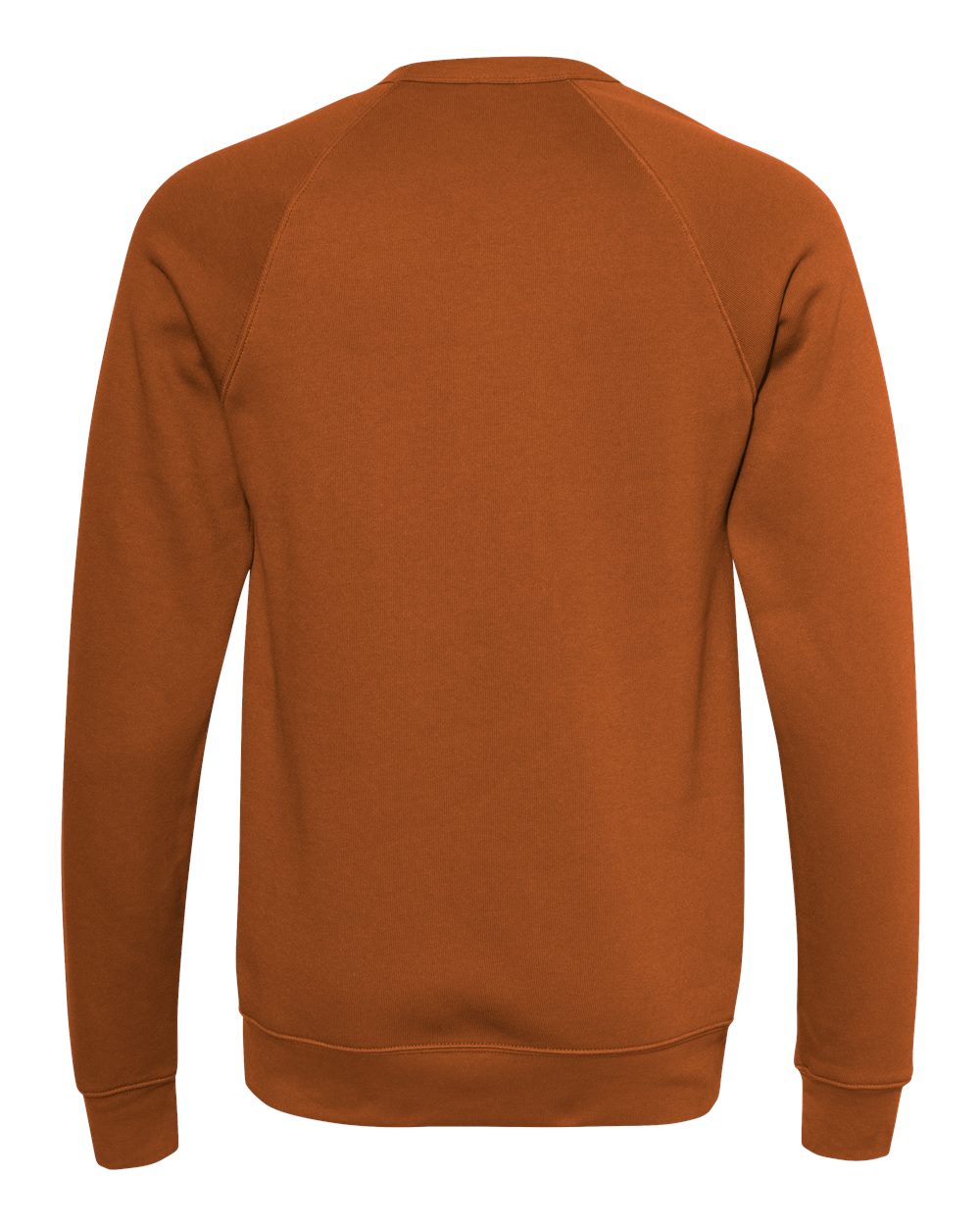 Unisex Sponge Fleece Raglan Crewneck Sweatshirt - Back - B85106502 - Autumn