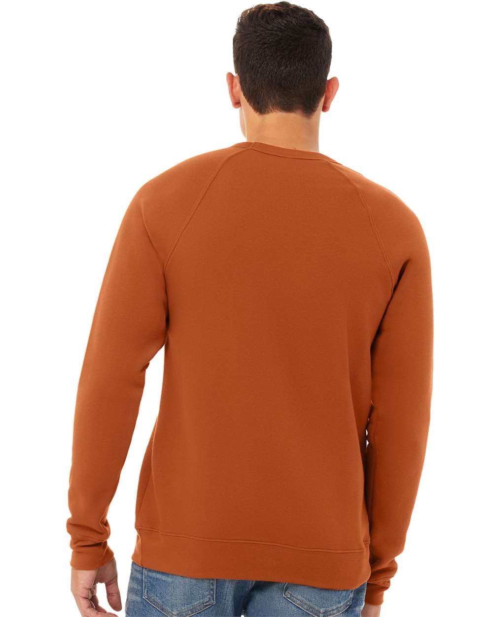 Unisex Sponge Fleece Raglan Crewneck Sweatshirt - OnModelBack - B85106502 - Autumn
