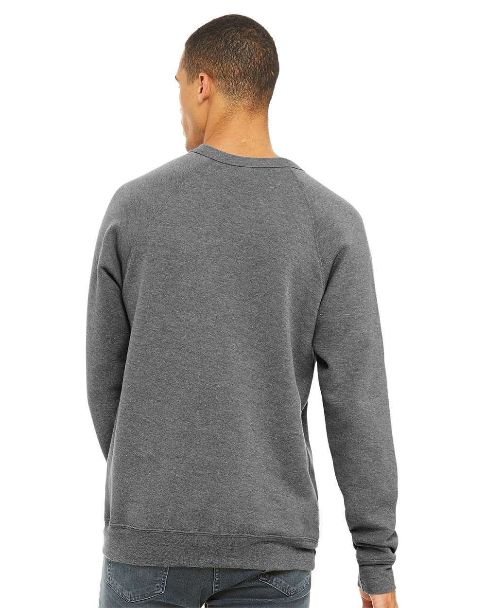 Unisex Sponge Fleece Raglan Crewneck Sweatshirt - OnModelBack - B85106582 - Grey Triblend