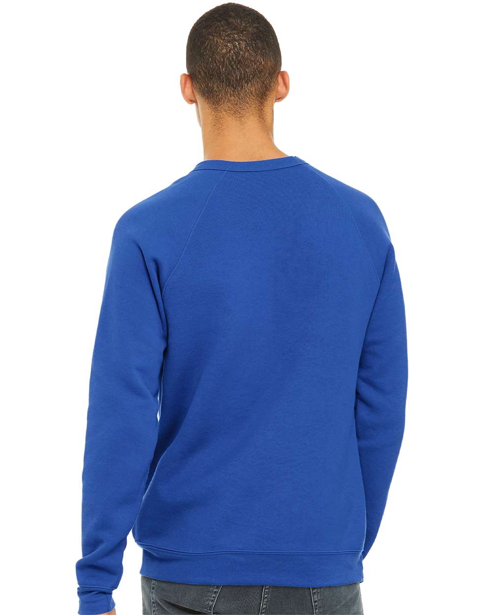 Unisex Sponge Fleece Raglan Crewneck Sweatshirt - OnModelBack - B85106752 - True Royal