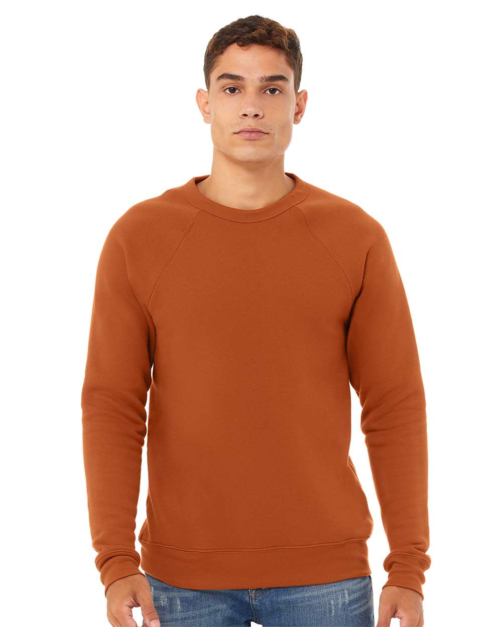 Unisex Sponge Fleece Raglan Crewneck Sweatshirt - OnModelFront - B85106502 - Autumn