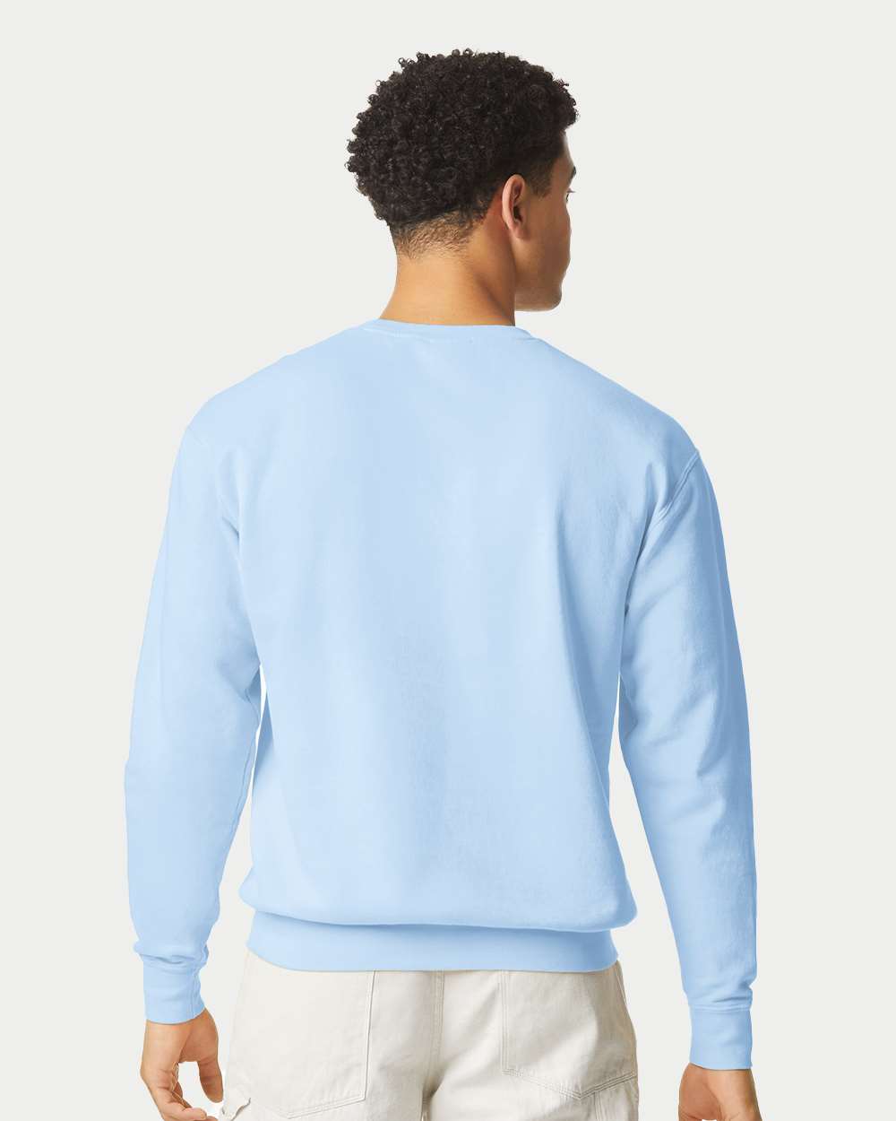 Unisex Garment-Dyed Lightweight Fleece Crewneck Sweatshirt - OnModelBack - B00808303 - Hydrangea