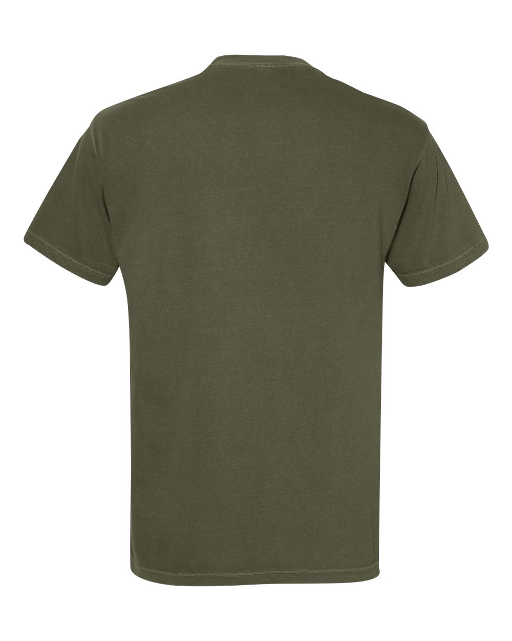 Garment-Dyed Heavyweight T-Shirt - Back - B00708383 - Sage