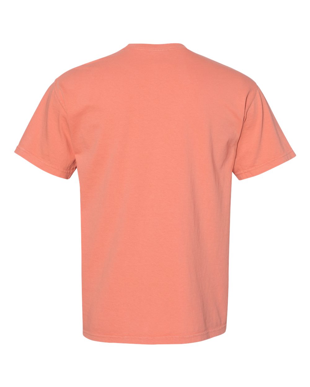 Garment-Dyed Heavyweight T-Shirt - Back - B00708653 - Terracotta