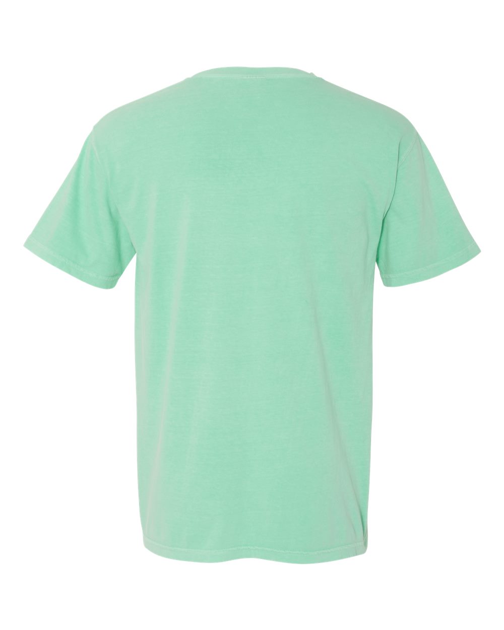 Garment-Dyed Heavyweight T-Shirt - Back - B00708723 - Island Reef
