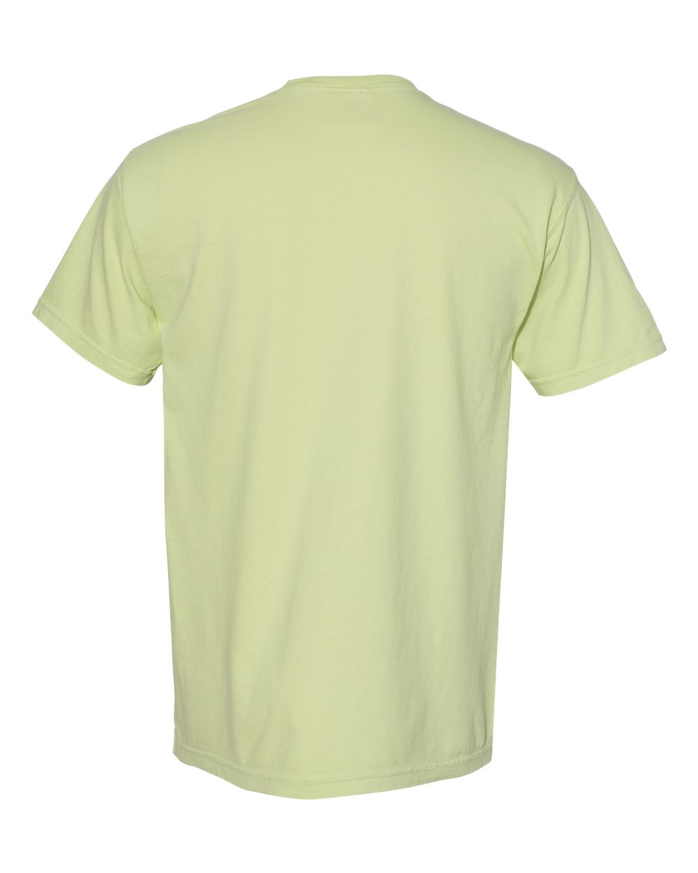 Garment-Dyed Heavyweight Pocket T-Shirt - Back - B08508083 - Celadon