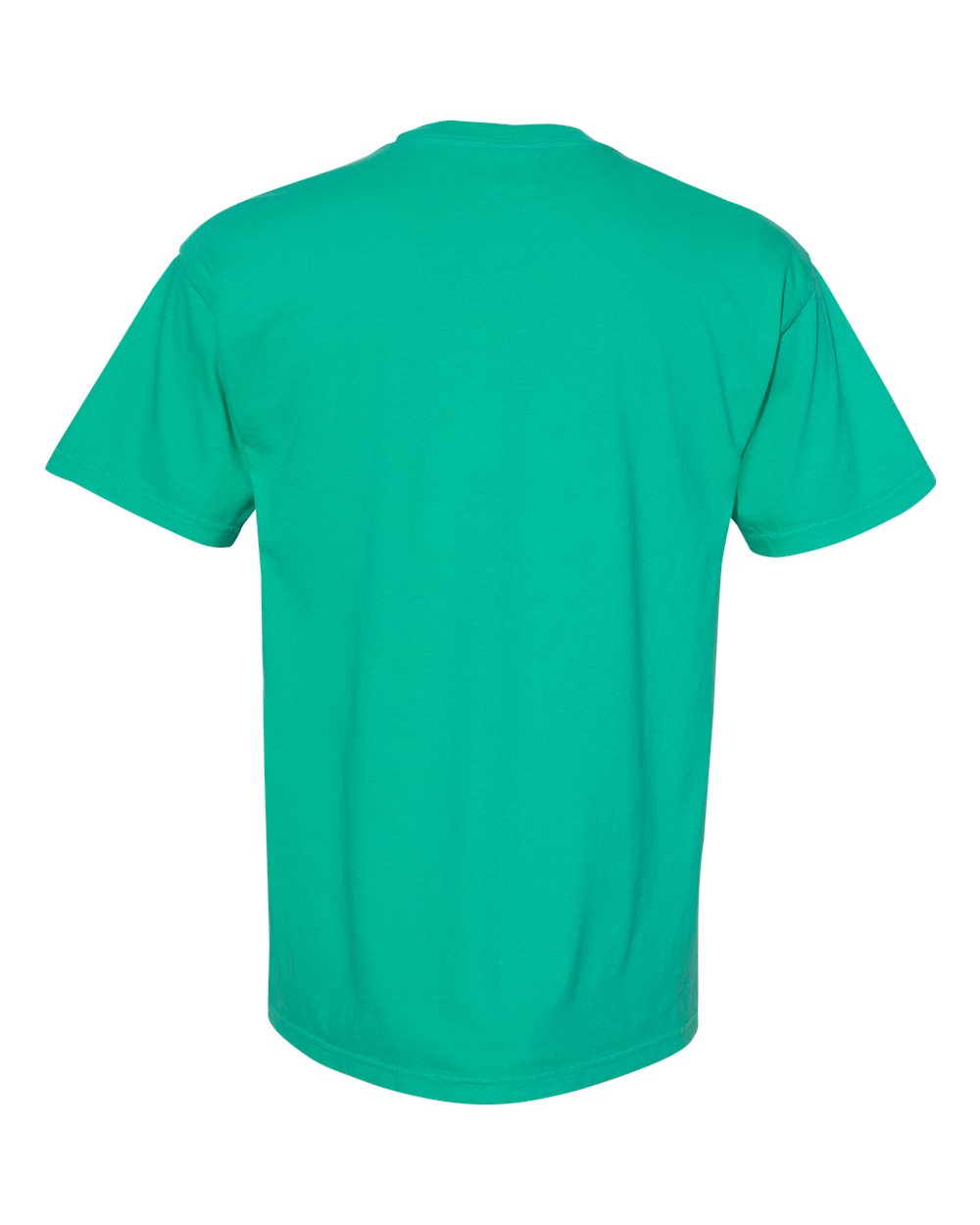 Garment-Dyed Heavyweight Pocket T-Shirt - Back - B08508183 - Island Green