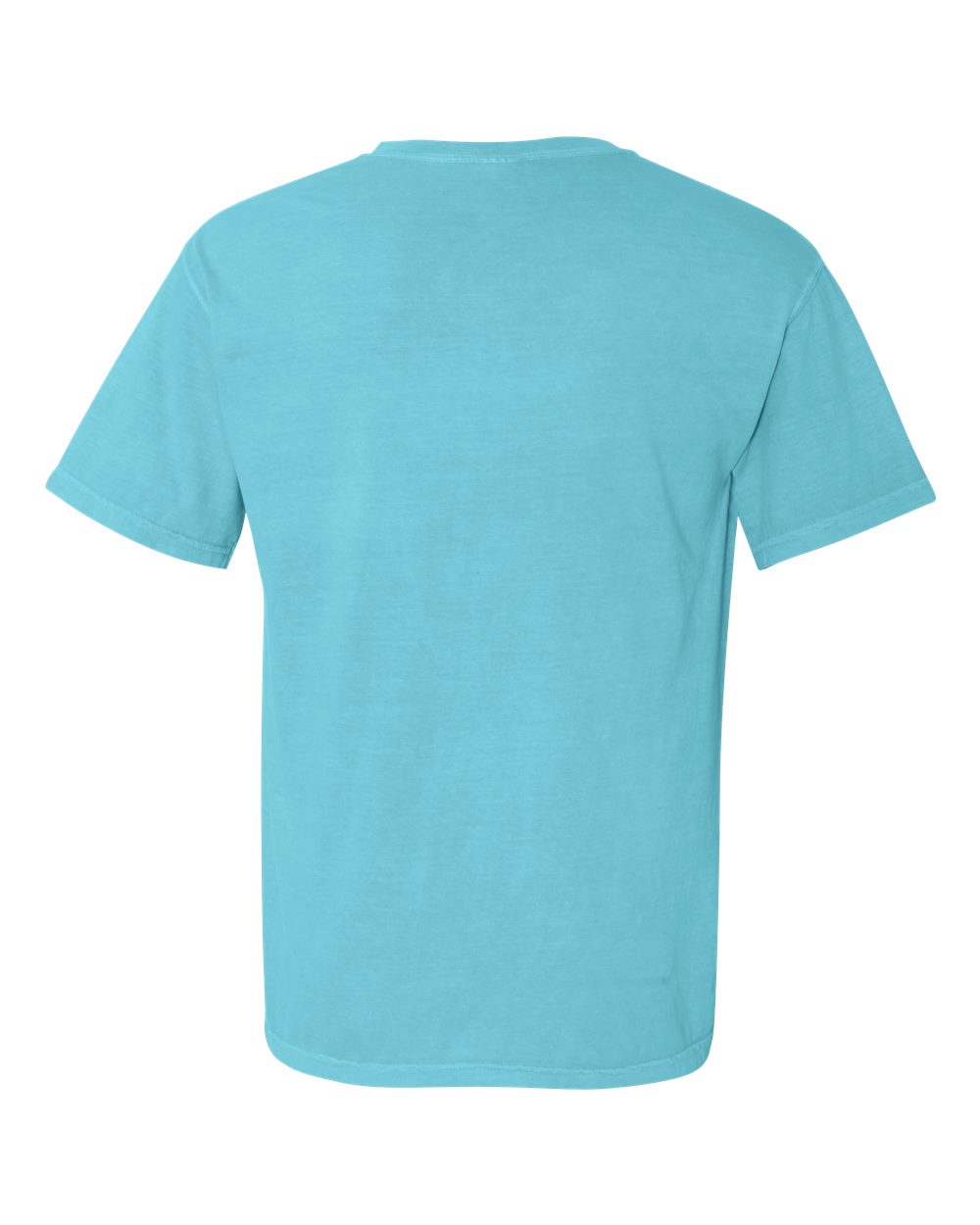 Garment-Dyed Heavyweight Pocket T-Shirt - Back - B08508633 - Lagoon