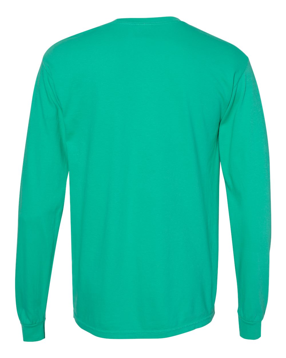 Garment-Dyed Heavyweight Long Sleeve T-Shirt - Back - B08108743 - Island Green