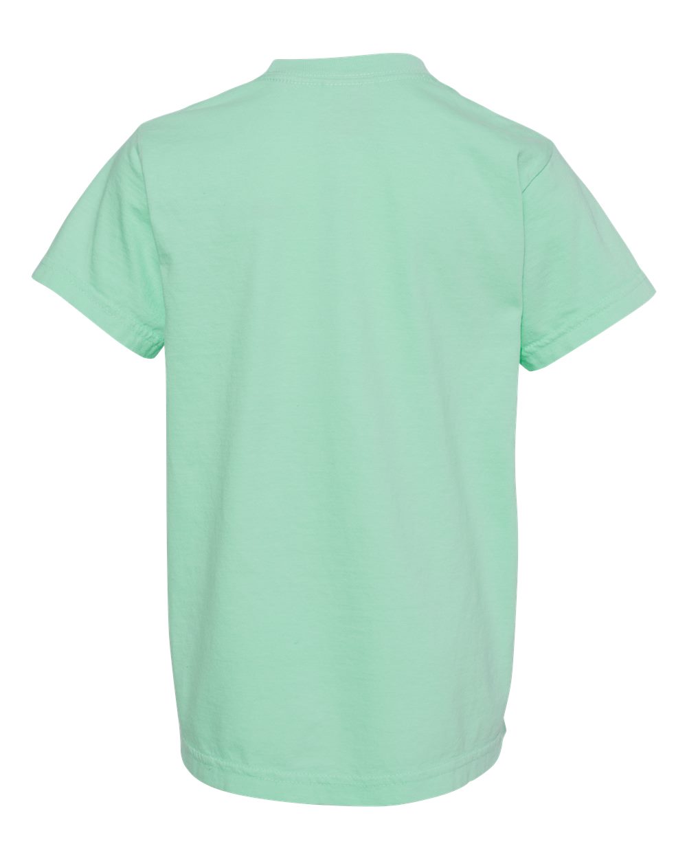 Youth Garment-Dyed Heavyweight T-Shirt - Back - B31608721 - Island Reef
