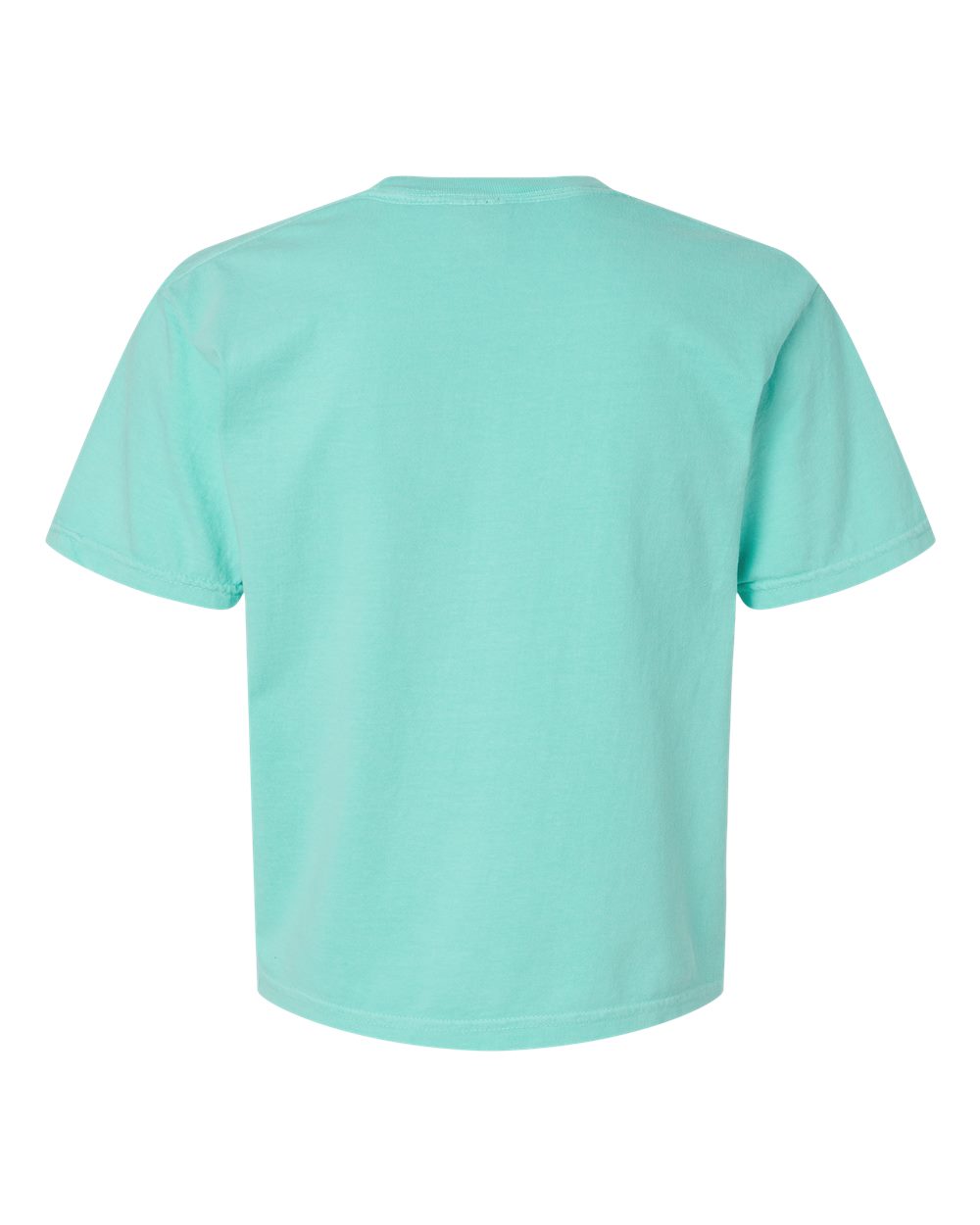 Women's Heavyweight Boxy T-Shirt - Back - B18008473 - Chalky Mint
