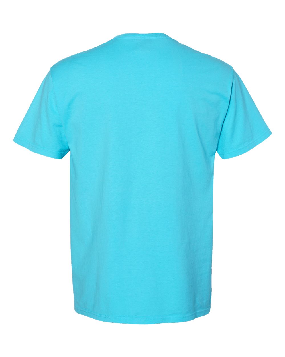 Unisex Garment-Dyed Pocket T-Shirt - Back - B35200123 - Freshwater