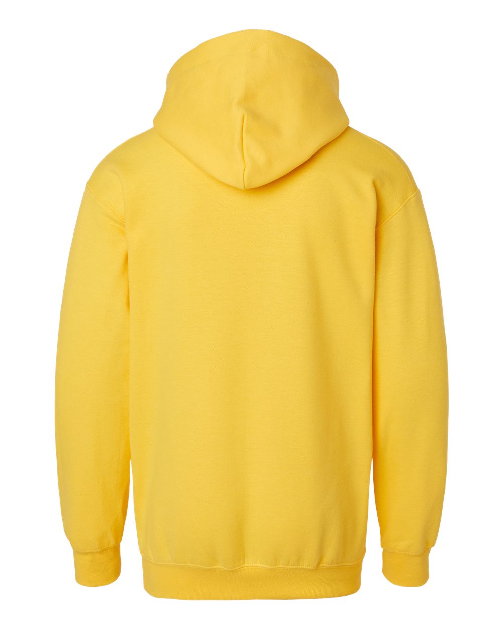 Youth Softstyle® Midweight Hooded Sweatshirt - Back - B00960402 - Daisy