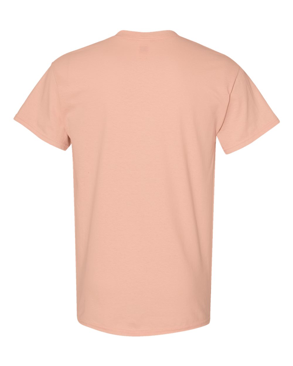 Men's Heavy Cotton™ T-Shirt - Back - B00060333 - Dusty Rose