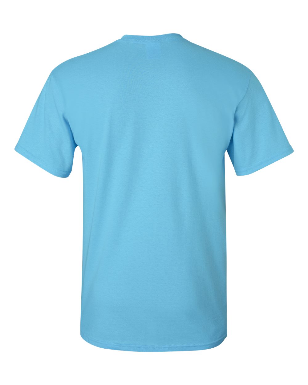 Men's Heavy Cotton™ T-Shirt - Back - B00060633 - Sky