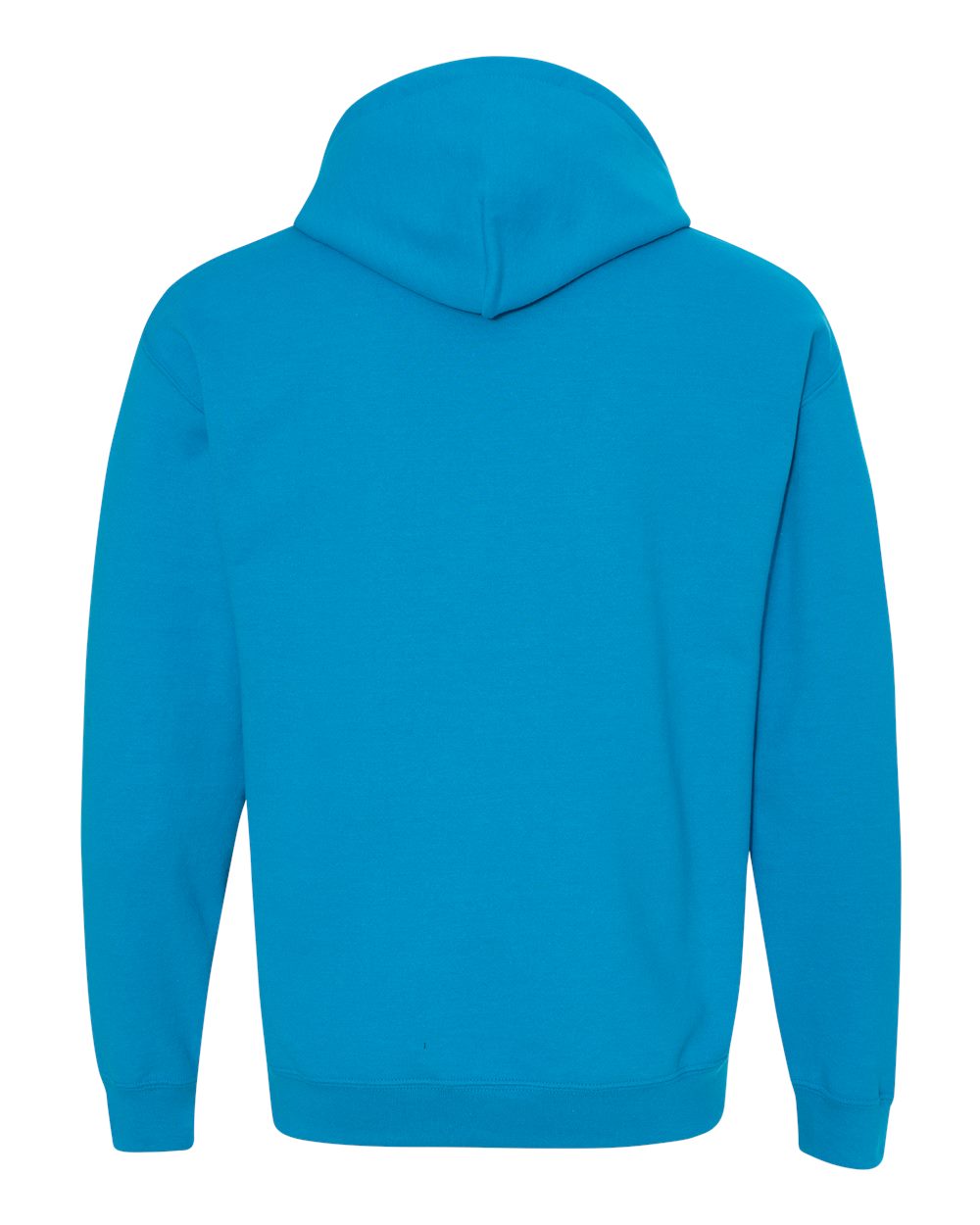 Unisex Heavy Blend™ Hooded Sweatshirt - Back - B22060763 - Sapphire
