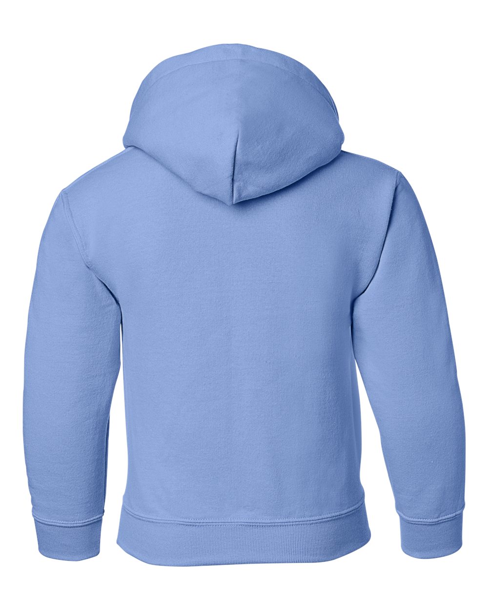 Youth Heavy Blend™ Hooded Sweatshirt - Back - B32060262 - Carolina Blue