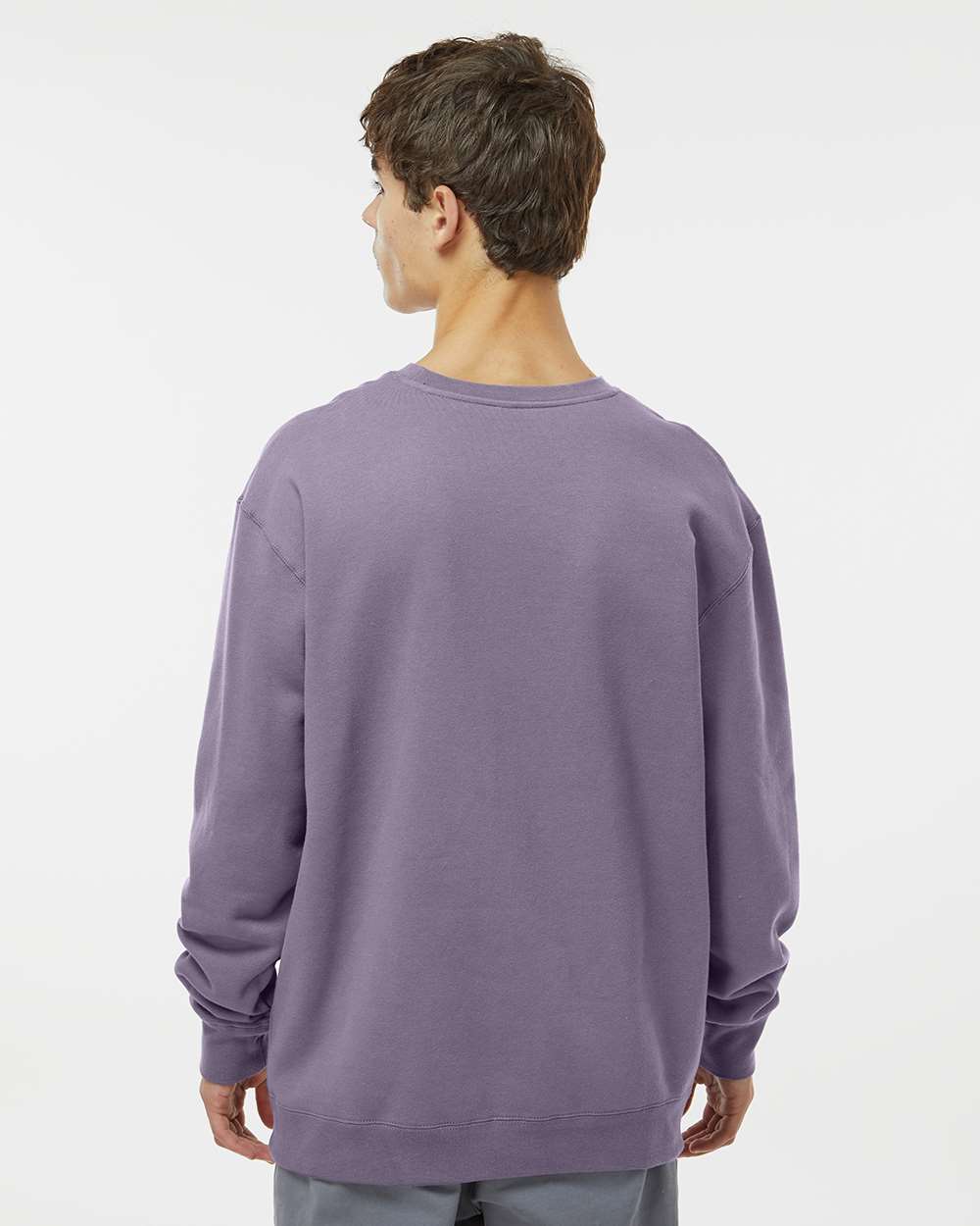 Unisex Heavyweight Crewneck Sweatshirt - OnModelBack - B04076512 - Plum