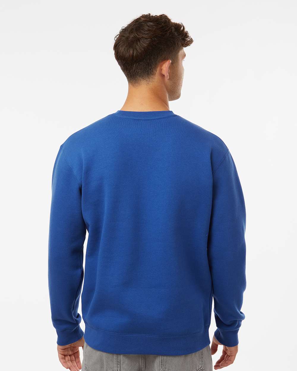 Unisex Heavyweight Crewneck Sweatshirt - OnModelBack - B04076752 - Royal