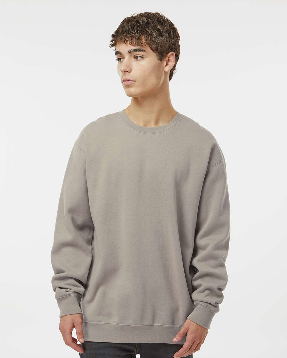 Unisex Heavyweight Crewneck Sweatshirt - OnModelFront - B04076222 - Cement