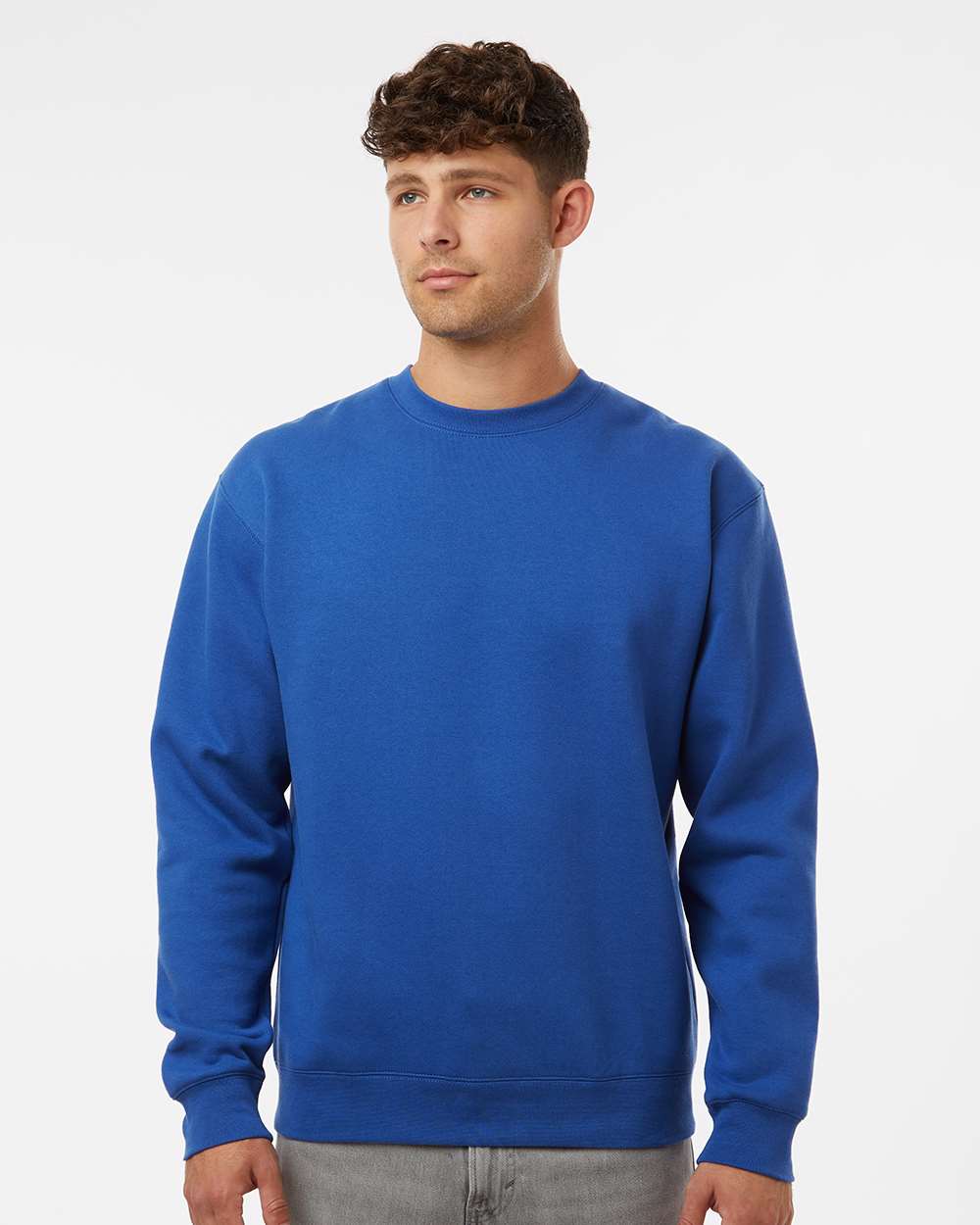 Unisex Heavyweight Crewneck Sweatshirt - OnModelFront - B04076752 - Royal