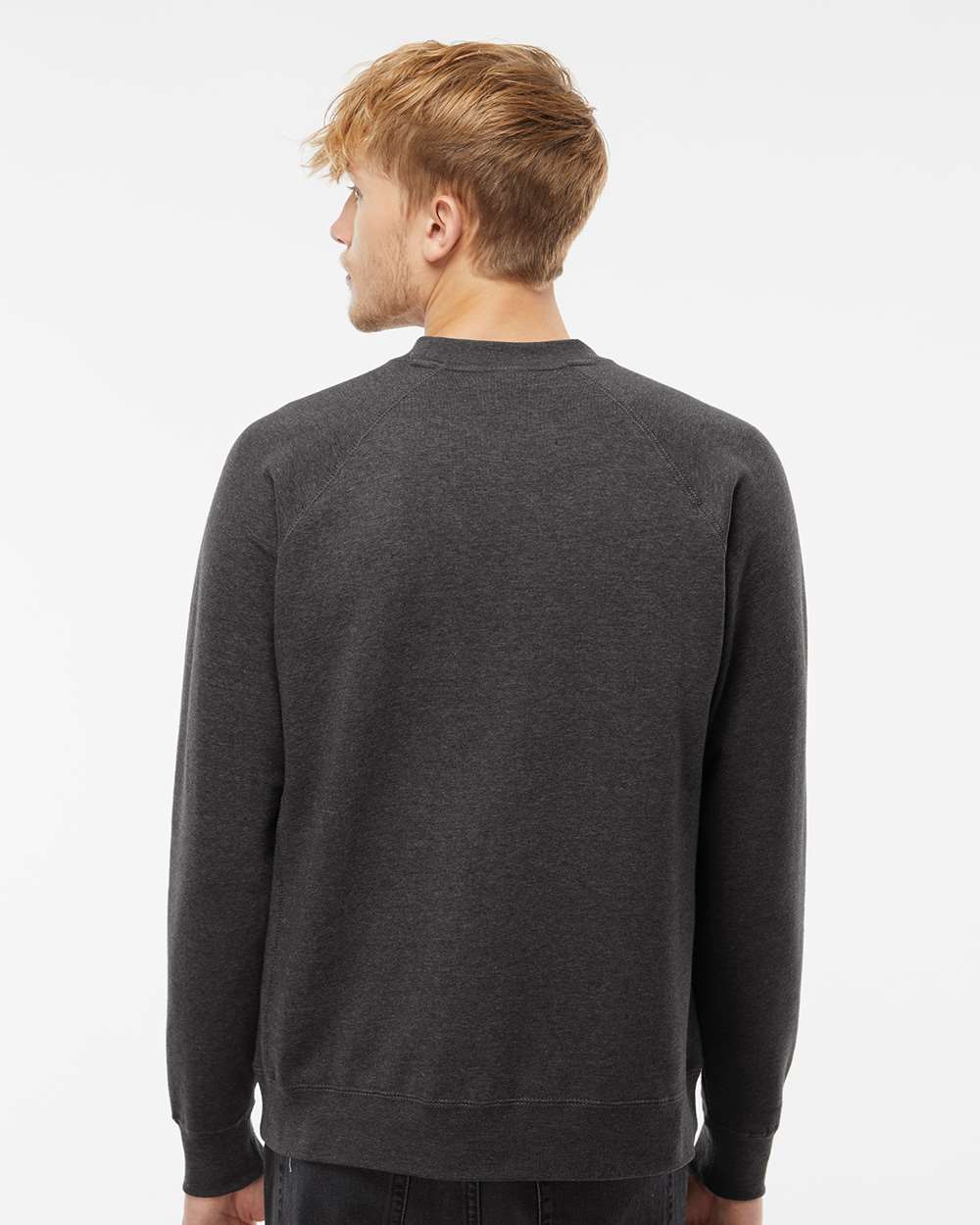 Unisex Special Blend Raglan Crewneck Sweatshirt - OnModelBack - B82576092 - Carbon
