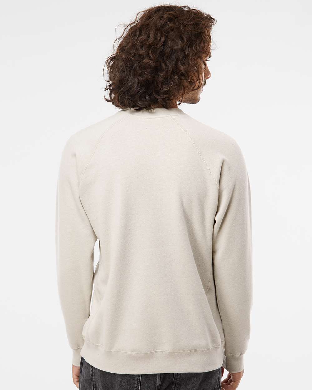 Unisex Special Blend Raglan Crewneck Sweatshirt - OnModelBack - B82576242 - Stone Heather