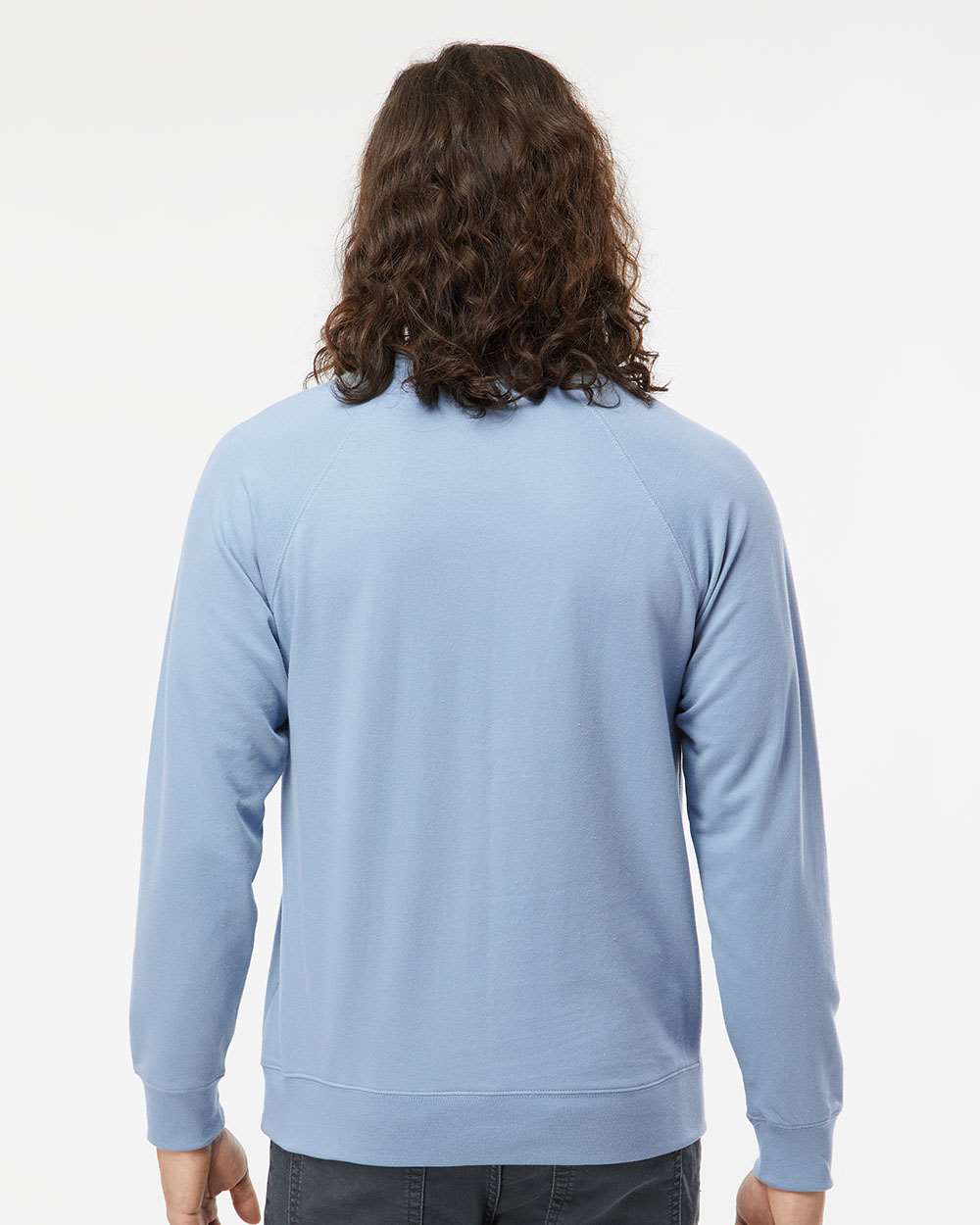 Unisex Icon Lightweight Loopback Terry Crewneck Sweatshirt - OnModelBack - B11576252 - Misty Blue