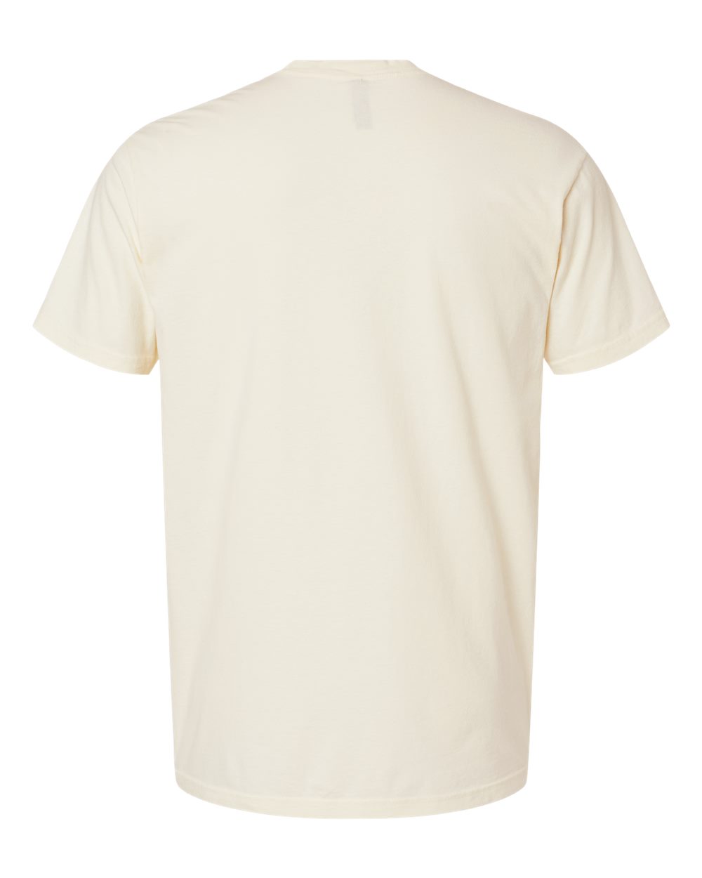 Soft Wash T-Shirt - Back - B05118242 - Washed Natural