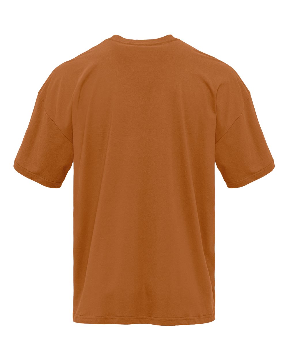 Heavyweight T-Shirt - Back - B10018002 - Clay