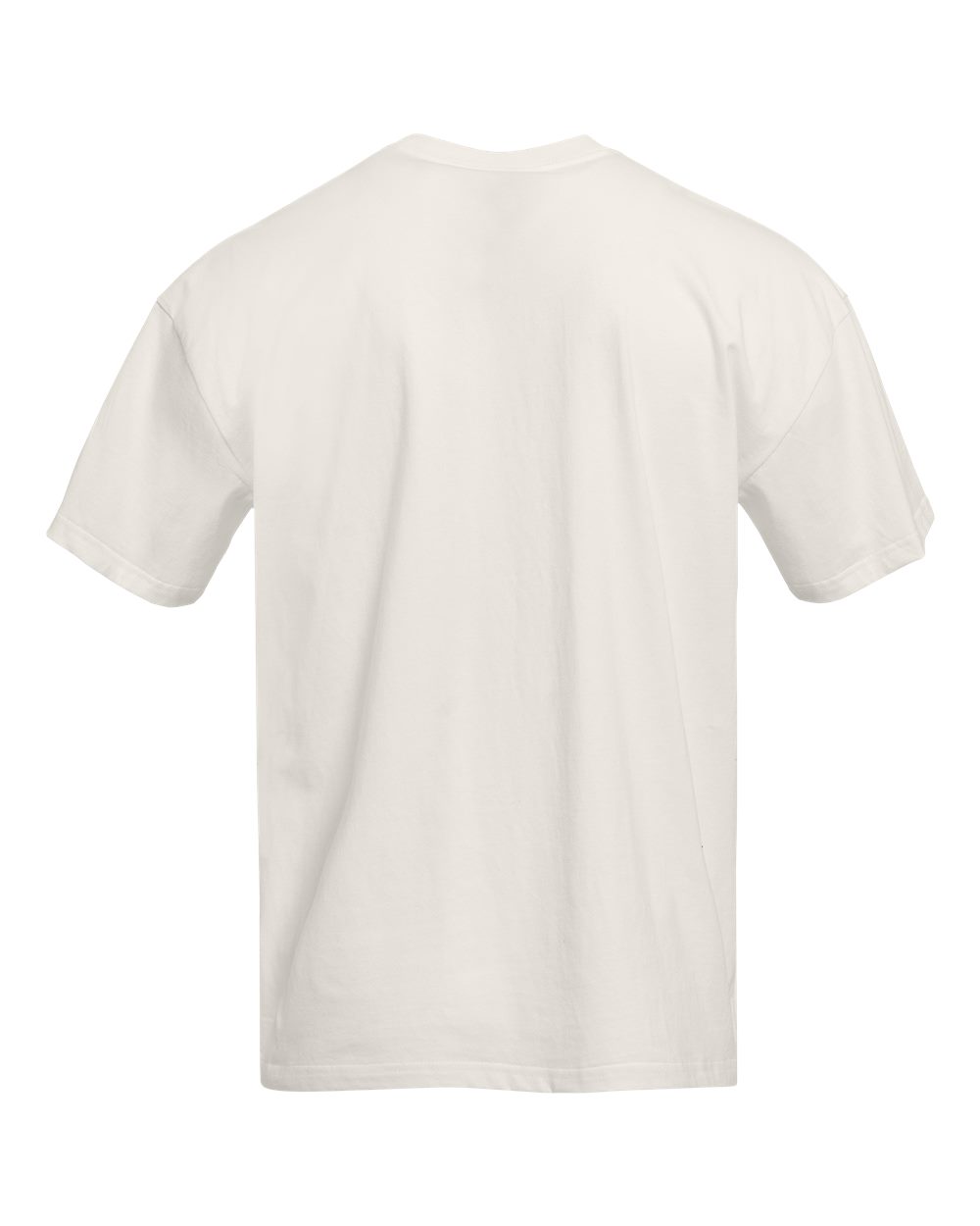 Heavyweight T-Shirt - Back - B10018242 - Bone