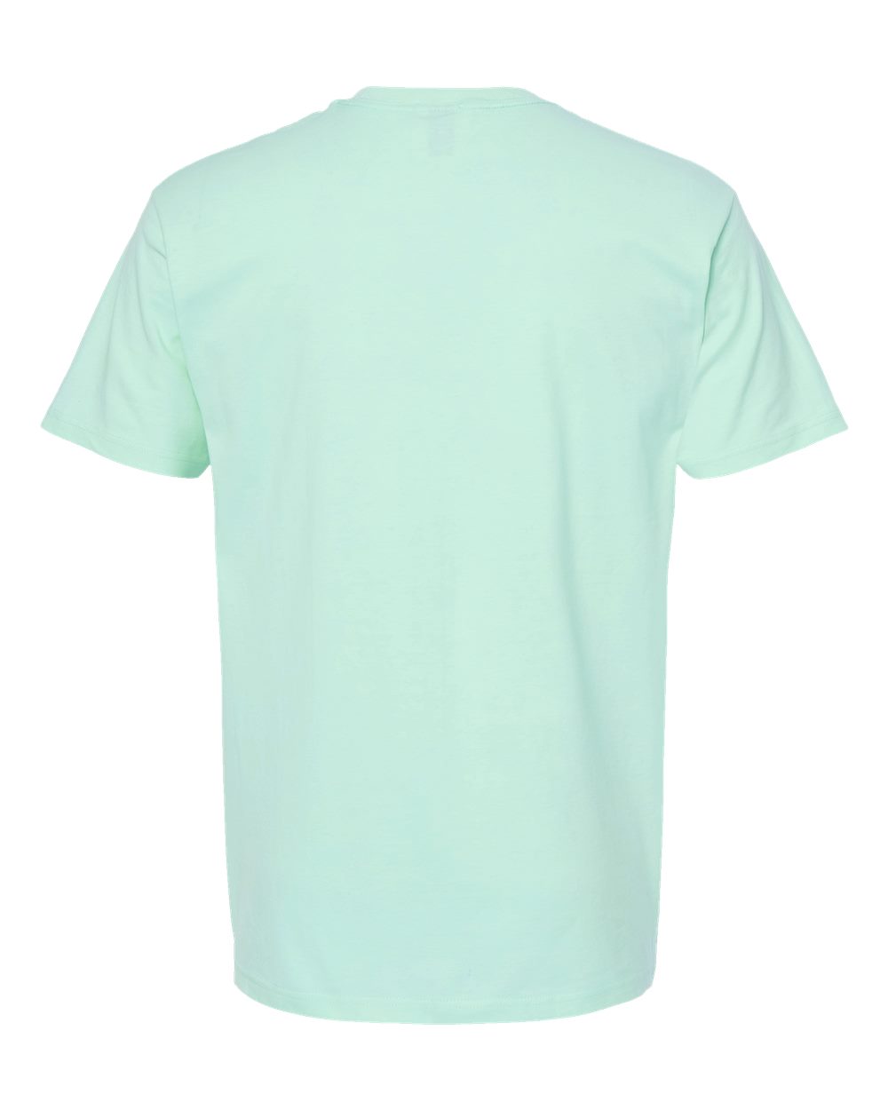 Unisex Heavyweight Jersey T-Shirt - Back - B30959172 - Light Mint