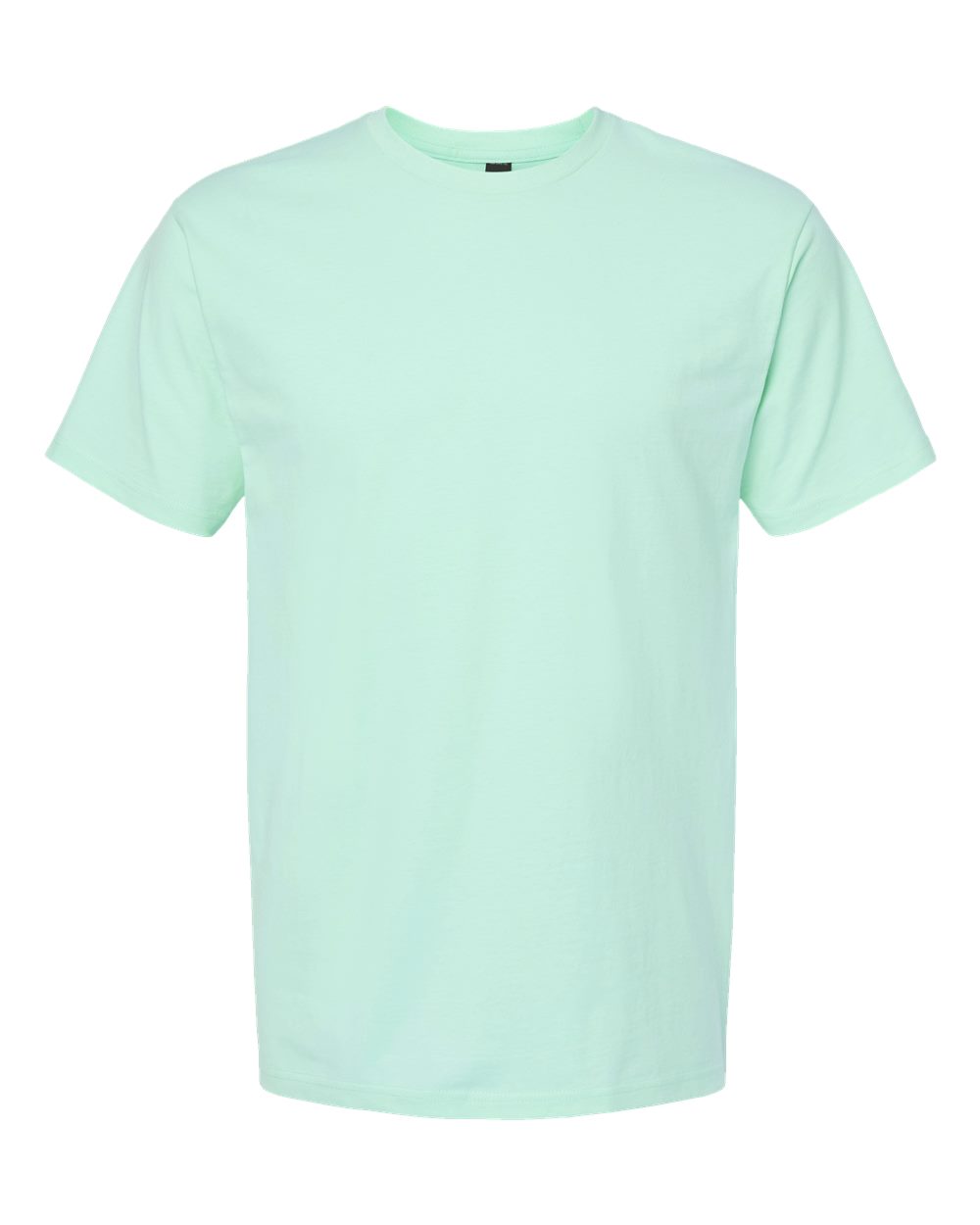 Unisex Heavyweight Jersey T-Shirt - Front - B30959172 - Light Mint