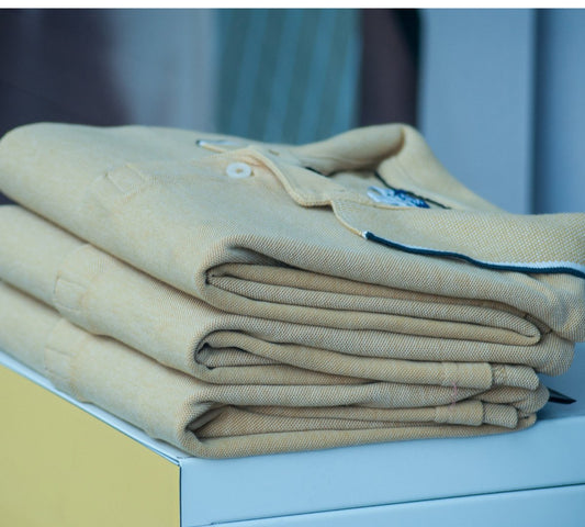 A Polo Primer: Everything You Need to Know About This Popular Style - Clothing Shop Online