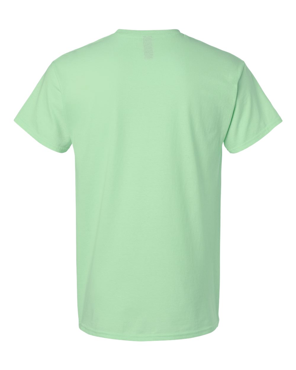 Light Cotton T-Shirt - Back - B02860172 - Mint Green