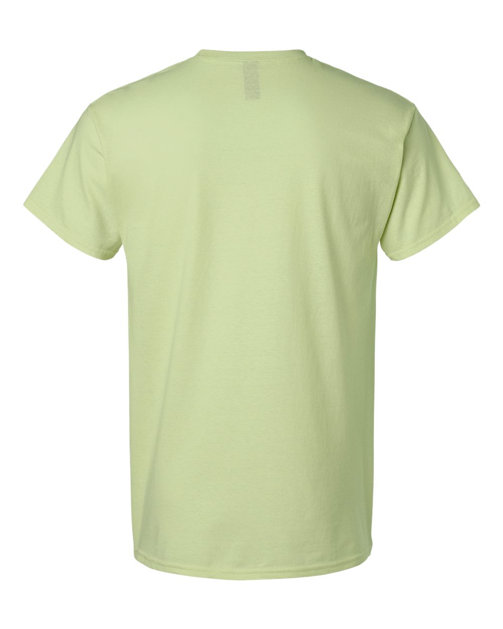 Light Cotton T-Shirt - Back - B02860362 - Pistachio