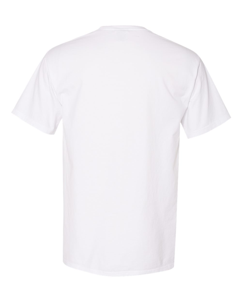 Garment-Dyed T-Shirt - Back - B35100003 - White