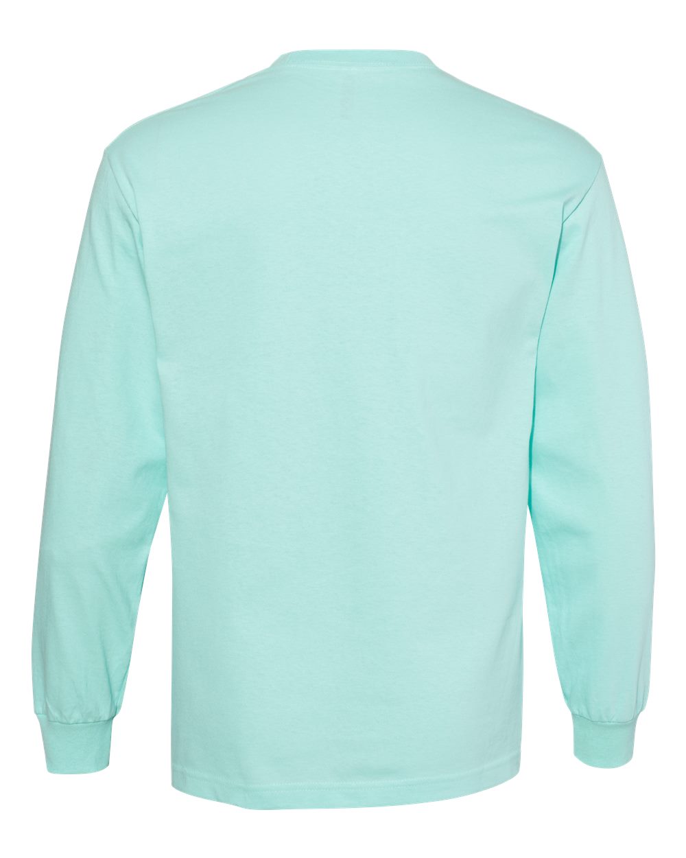 Unisex Heavyweight Cotton Long Sleeve Tee - Back - B13027173 - Celadon