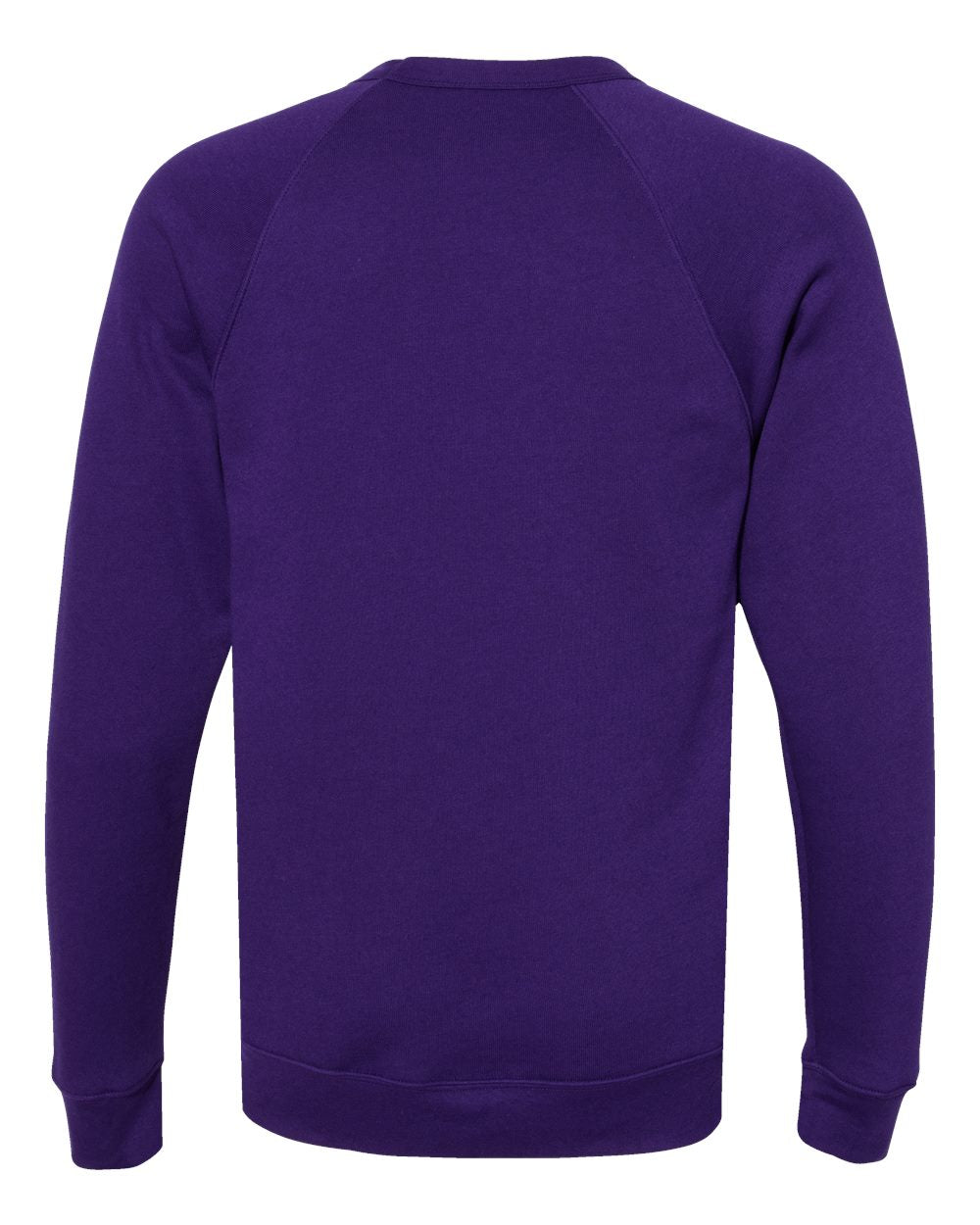 Unisex Sponge Fleece Raglan Crewneck Sweatshirt - Back - B85106162 - Team Purple