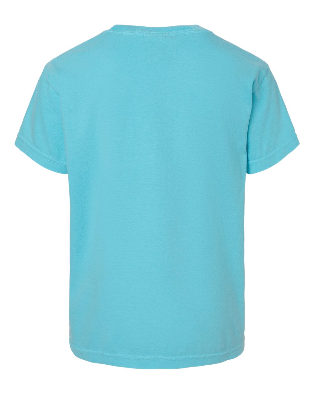 Youth Garment-Dyed Heavyweight T-Shirt - Back - B31608631 - Lagoon