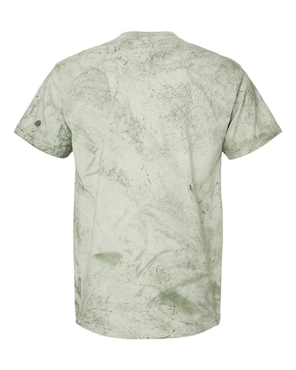 Colorblast™ Heavyweight T-Shirt - Back - B23108543 - Fern