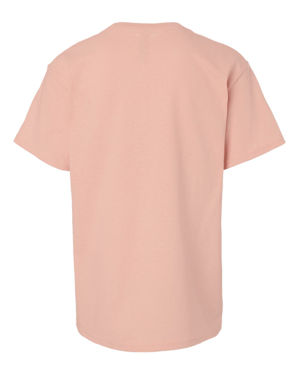 Youth Heavy Cotton™ T-Shirt - Back - B31560342 - Dusty Rose