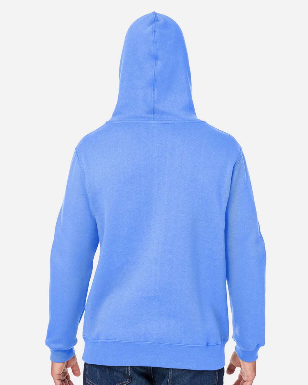 Men's Premium Hooded Sweatshirt - OnModelBack - B22228262 - Carolina Blue