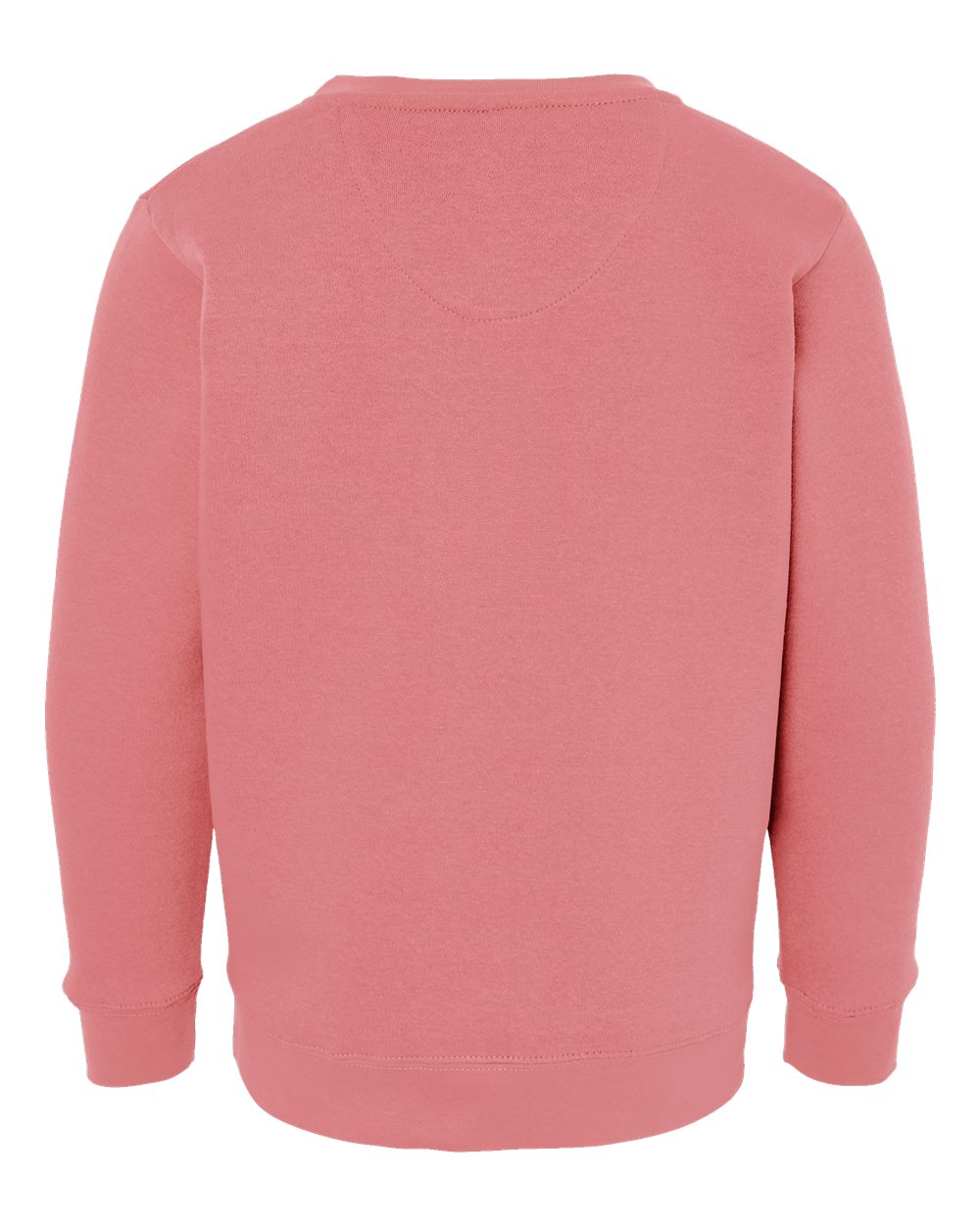 Youth Elevated Fleece Crewneck Sweatshirt - Back - B06638272 - Mauvelous