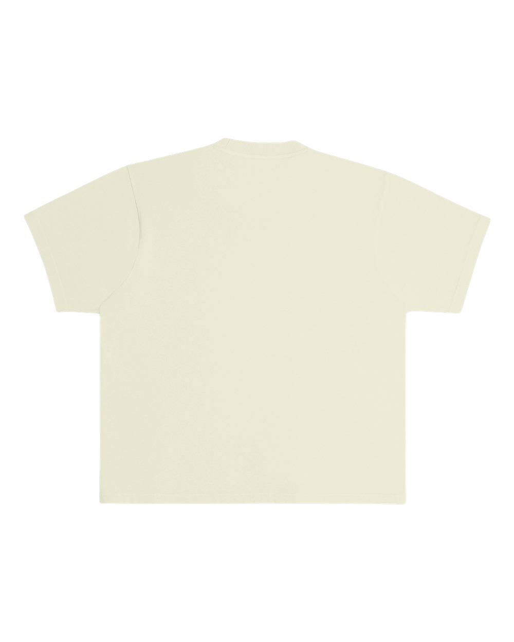 Urban Heavyweight T-Shirt - Back - B497C9172 - Pistachio