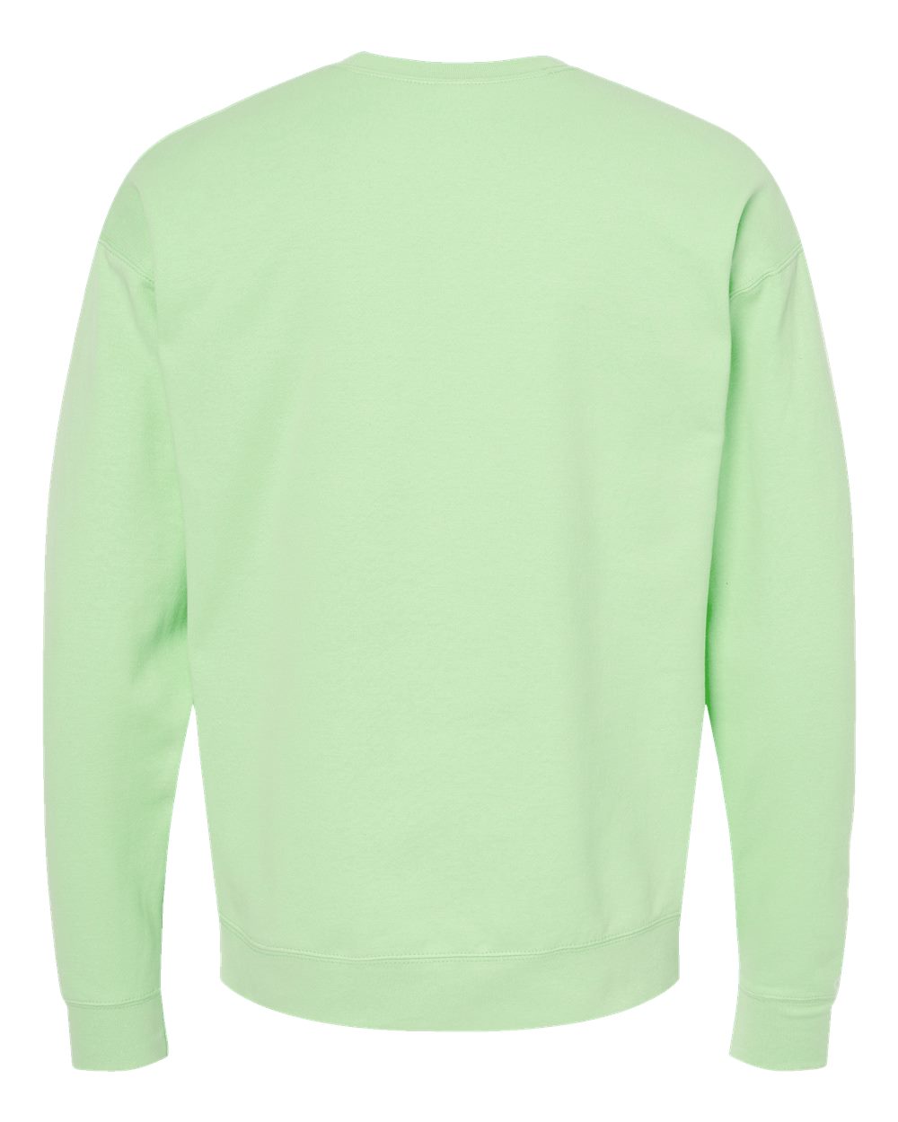 Unisex Fleece Crewneck Sweatshirt - Back - B10459172 - Neo Mint