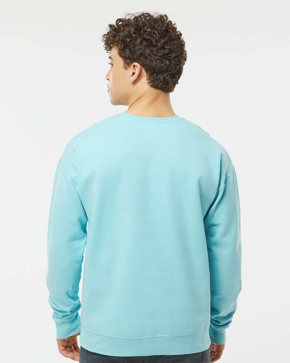 Unisex Fleece Crewneck Sweatshirt - OnModelBack - B10459122 - Purist Blue