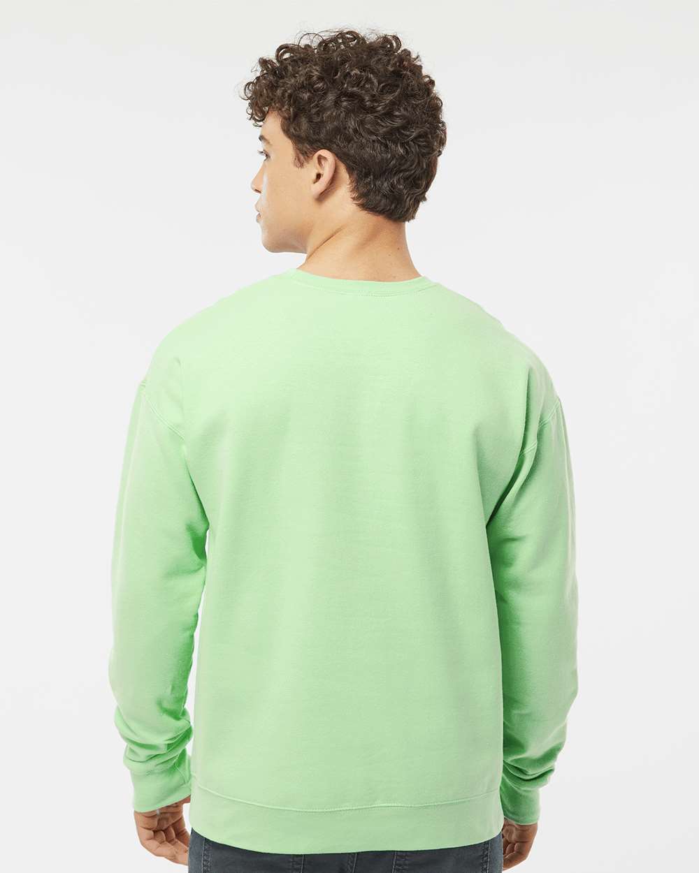 Unisex Fleece Crewneck Sweatshirt - OnModelBack - B10459172 - Neo Mint